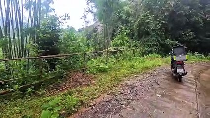 DANACH links abbiegen #Natur #Berge #Thailand #Roller