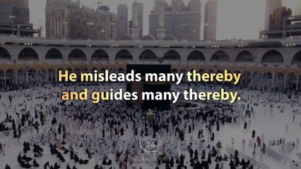 Surah Al-Baqarah _ Verse 26-29 _  Islamic lofi