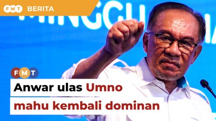 ‘Kita bincang baik kerjasama PRU16’, Anwar ulas Umno mahu dominan