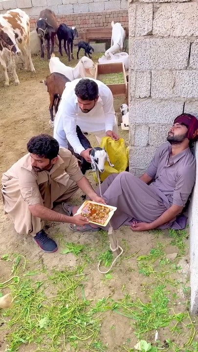 Zubair ZK Nakam_Chor_Funny Video