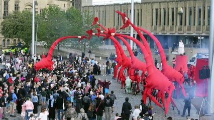 Les Giraffes: Stunning 8-Metre Puppets Take Over Bradford City Centre 🎭