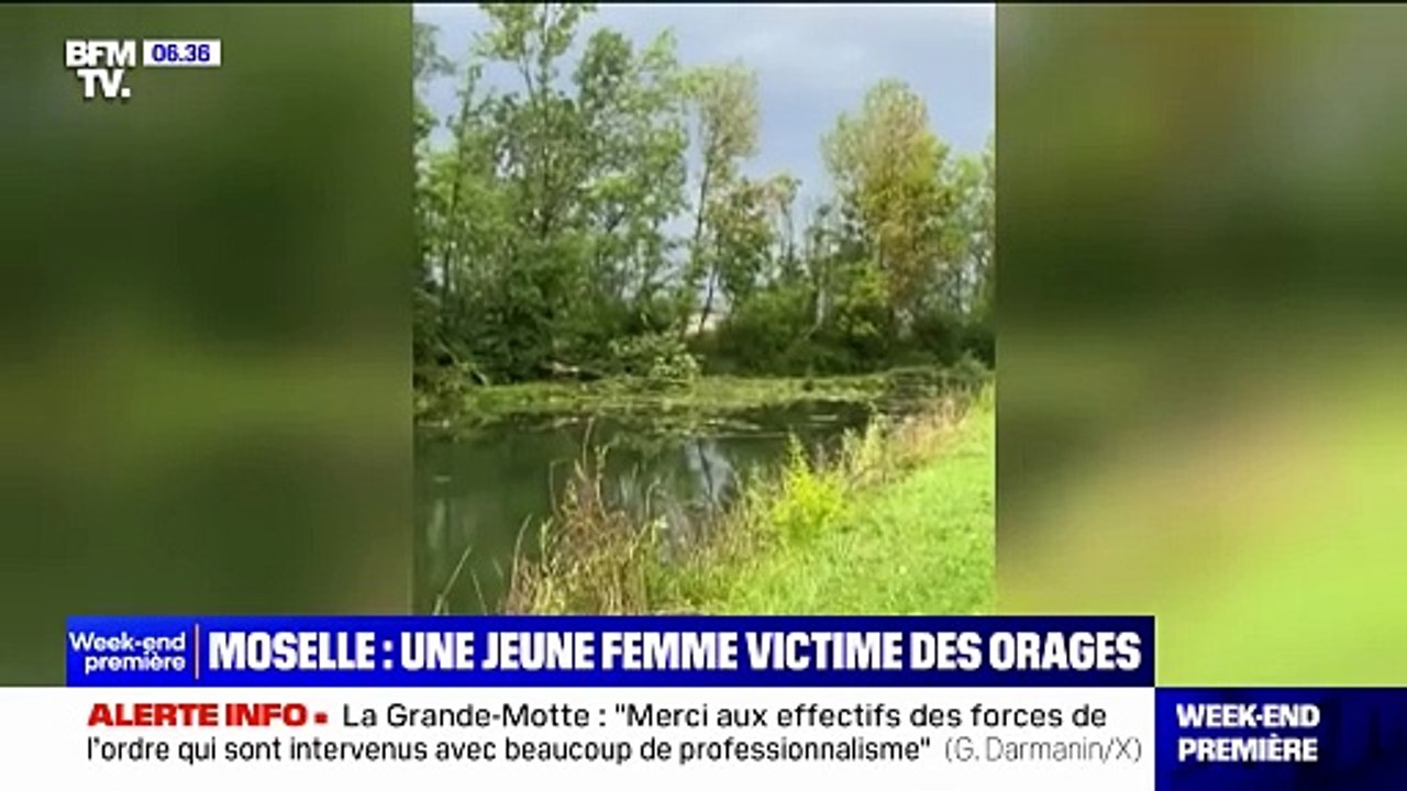 Une femme de 19 ans est décédée lors d'un accident de voiture sur l'autoroute A30 en Moselle, à cause d'une chute d'arbre provoquée par les orages