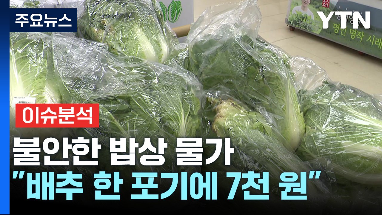 "배추 1포기에 7,306원" 치솟는 채솟값...밥상물가 비상 / YTN