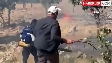 Mardin'de ormanlık alanda çıkan yangın söndürüldü