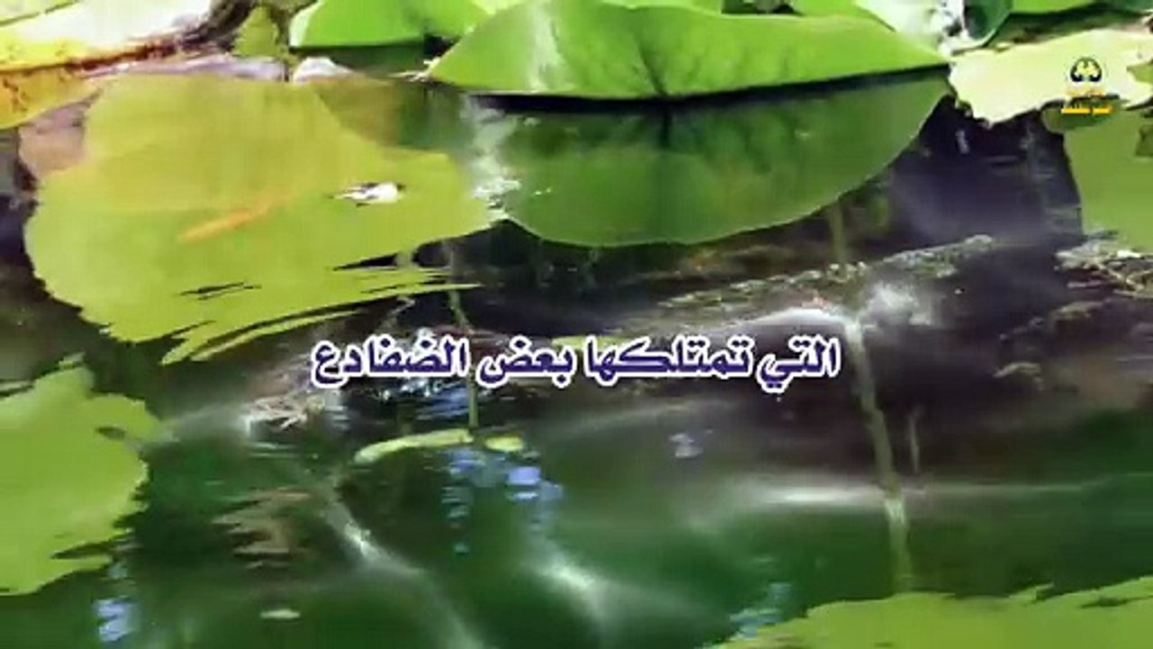 لن تصدق ما الذي يجعل الضفادع تغير لون جلدها!