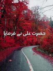 Hazrat ali ne farmaya | short video | islamic shorts