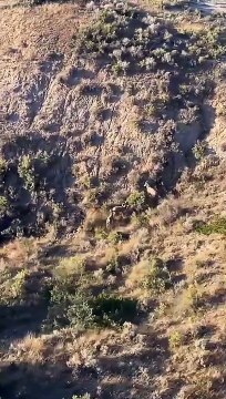 MOUNTAIN,, There is a tall mount,