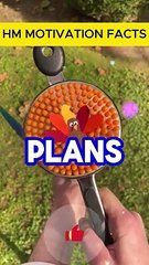 Life Is What Happens When You’re Busy Making Other Plans: Facts & Insights #viralvideo#Viralvediofacts