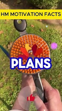 Life Is What Happens When You’re Busy Making Other Plans: Facts & Insights #viralvideo#Viralvediofacts