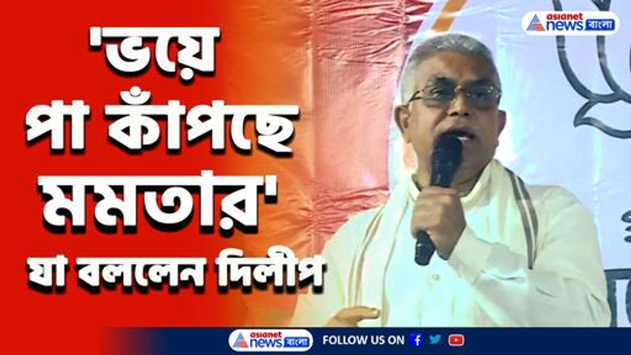 'ভয়ে মমতার পা কাঁপছে! নবান্ন চলো, একডাকেই এই অবস্থা!' ধুয়ে দিলেন দিলীপ ঘোষ