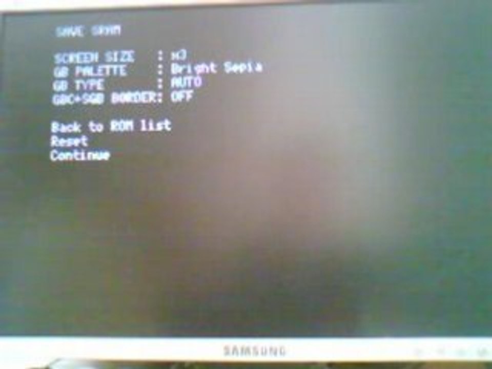 Wii: Chaine RIN-emulation GBC