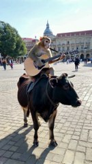 Bermain guitar