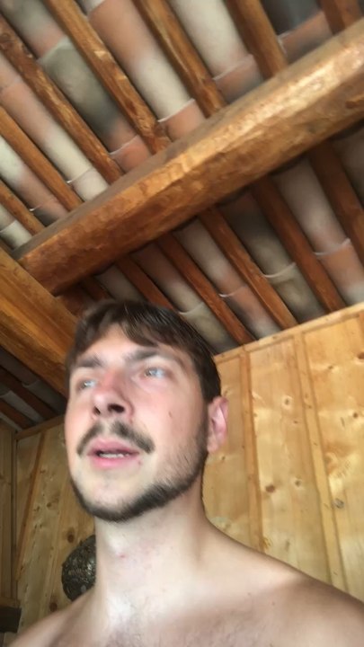 Savais-tu sais c’est incroyable sur les flamands roses? (exclusivité DAILYMOTION)