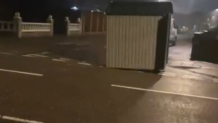 Mother and daughter stun as a moving sheep crosses their path at night