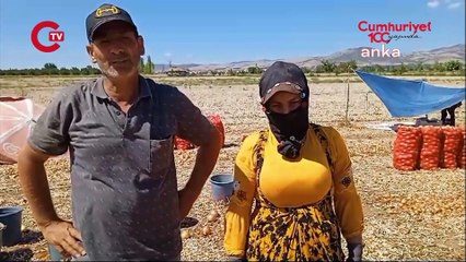 Mevsimlik tarım işçileri elektriksiz kaldı... Herkes gibi bizim de yaşamaya hakkımız var