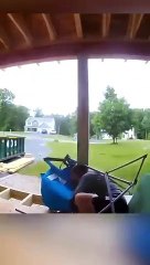 The_end__#viral_#shorts_#fails_#funny_#mmvfunny(360p)(1)