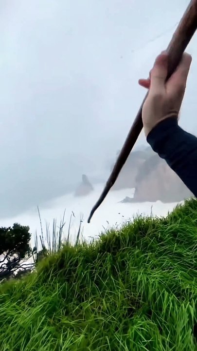 Enjoy the beautiful nature #entertainment video #shorts #viral