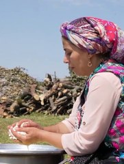 process of preparing butter from milks in home by village girls