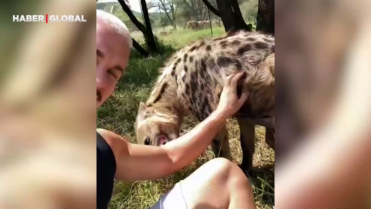 Herkes dokunmaya korkarken o arkadaş oldu, o anlar izlenme rekoru kırdı