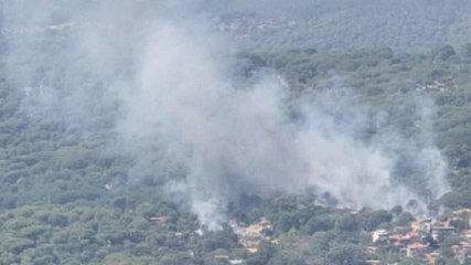 İzmir'de çam fıstığı ağaçları ile kaplı tarım arazinde yangın