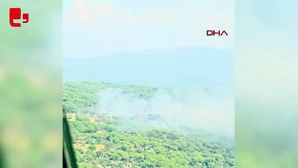 İzmir'de çam fıstığı ağaçları ile kaplı tarım arazinde yangın