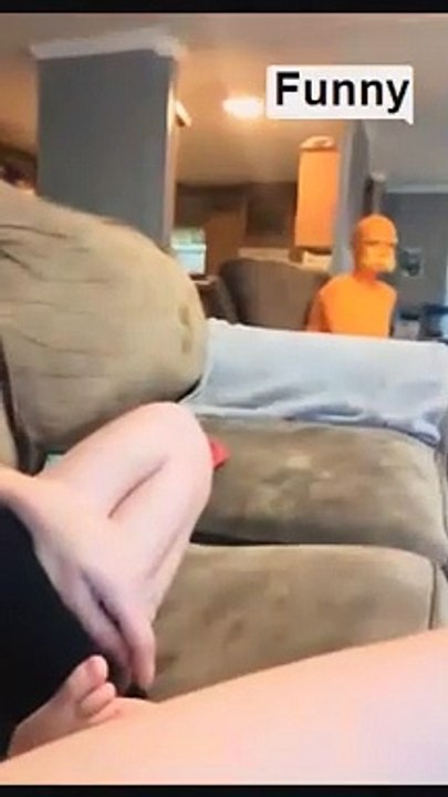 Funny videos