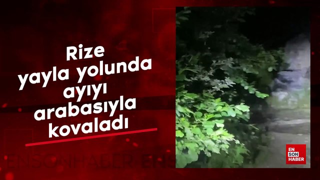 Rize yayla yolunda ayıyı arabasıyla kovaladı
