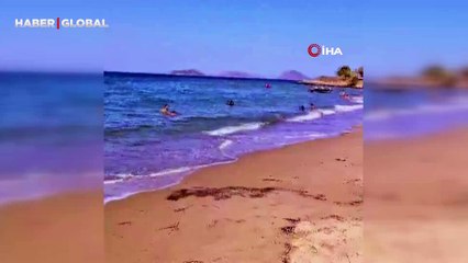 Turistlerin gözü önünde mültecilerin kaçışı herkesi şok etti