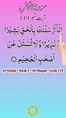 Al-Quran - Surah 2 - Al-Baqara - Ayah 119 | hafiz salman ali