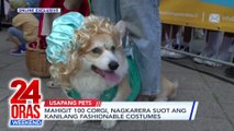 ONLINE EXCLUSIVE: Mahigit 100 corgi, nagkarera suot ang kanilang fashionable costumes | 24 Oras Weekend