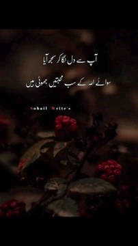 سوائے اللہ کے سب محبتیں جھوٹی ہیں #trending#viral#shorts#islamic#follow#foryou#dailymotion#share