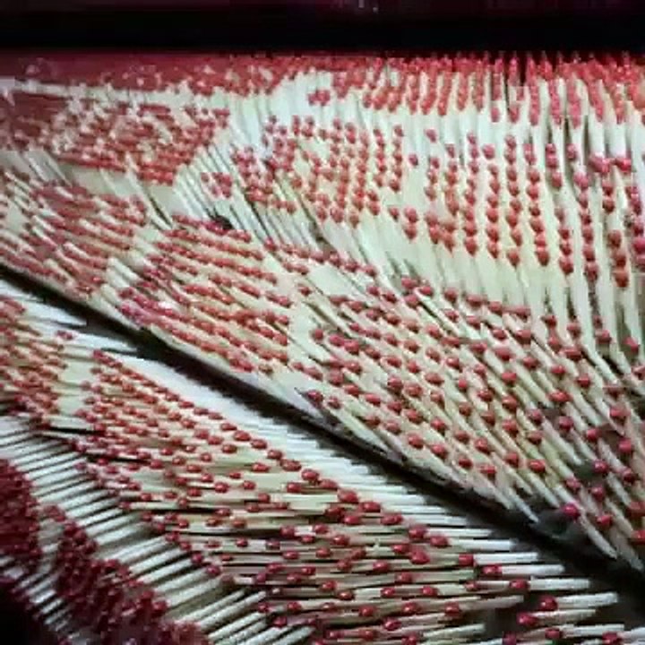 Match Stick Production Process (2)