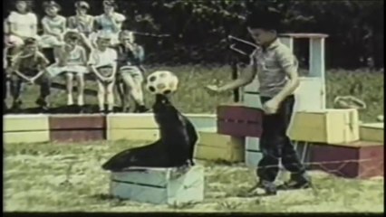 Sandy The Seal | Full Movie | Robert Lynn | Heinz Drache, Marianne Koch, David Richards