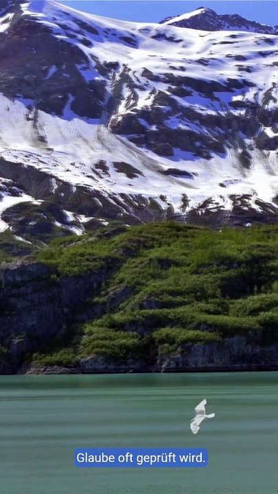 Al Ankabut- Beschreibung