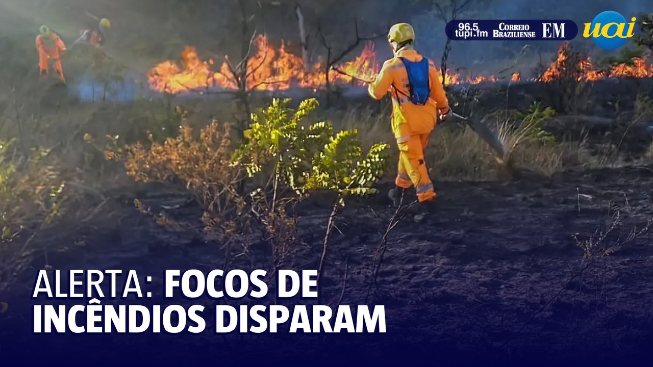 Focos de incêndios aumentam: entenda o motivo
