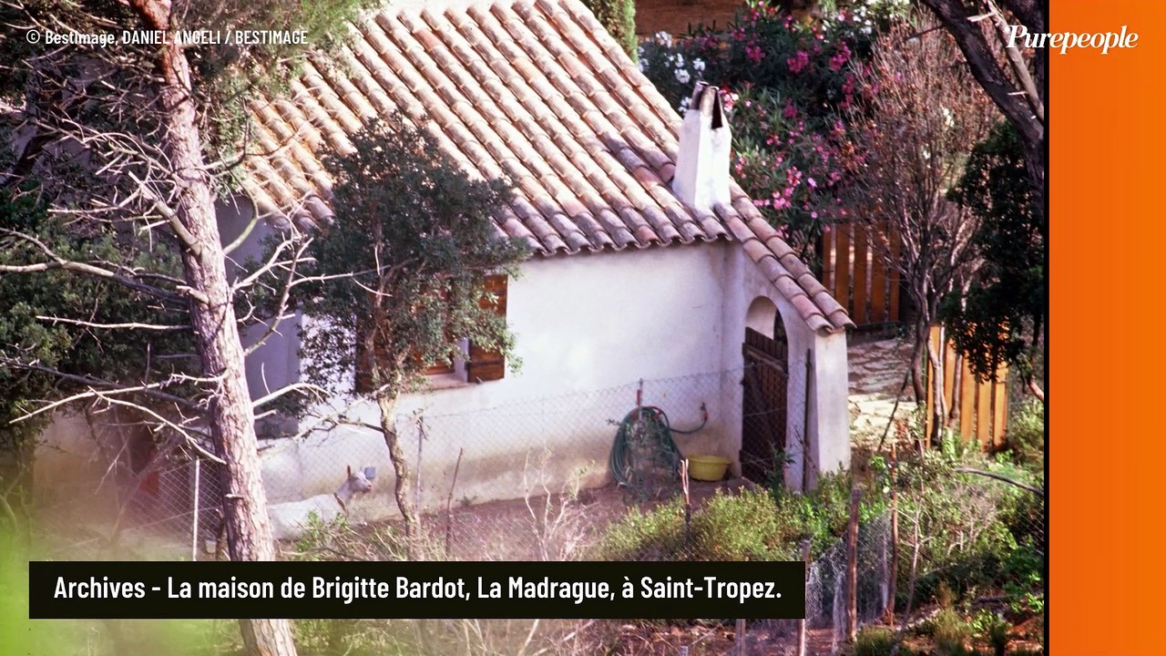 Alain Delon avant Douchy : cette cabane située dans un lieu mythique où il a vécu grâce à une grande actrice