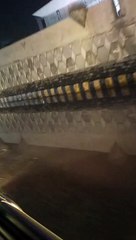 Late Night Outing 🌙