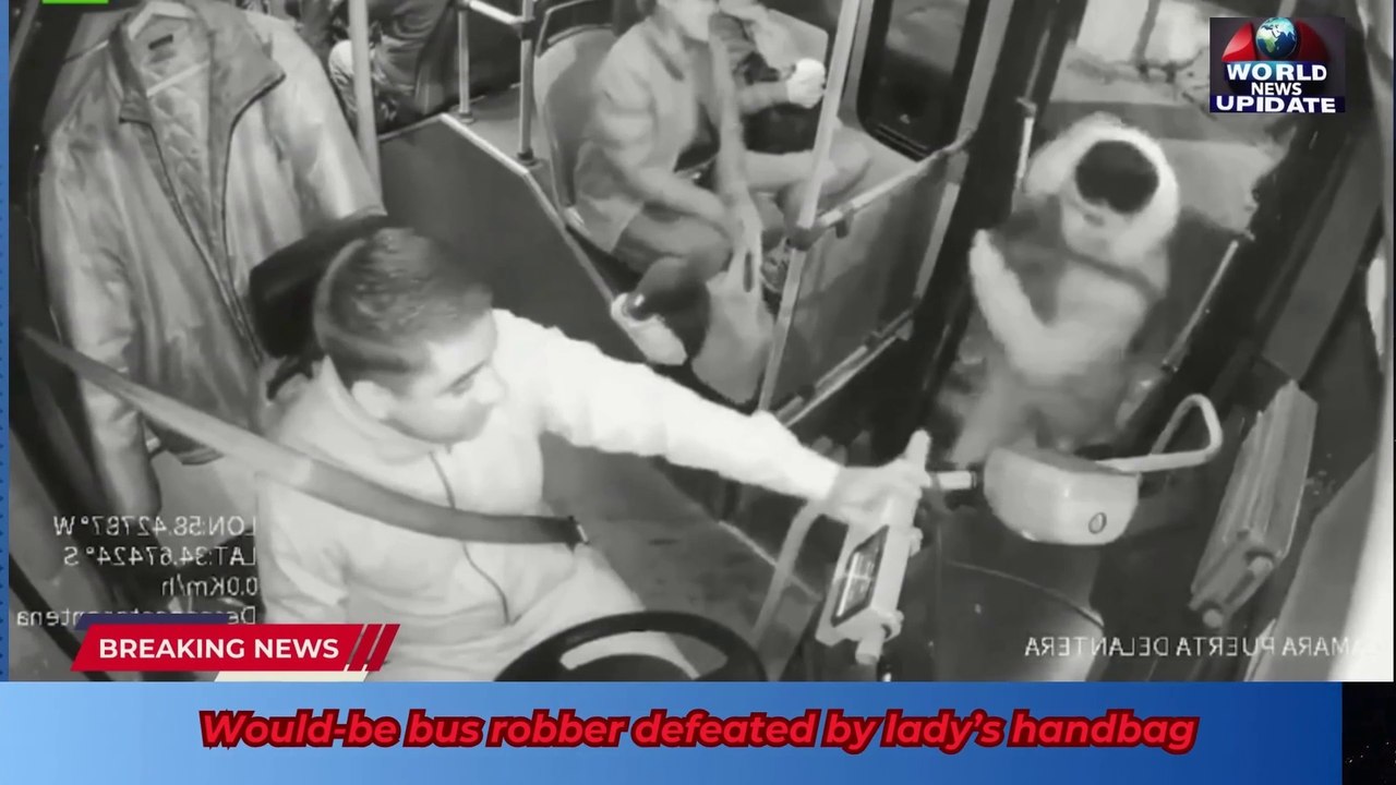 Would-be bus robber defeated by lady’s handbag