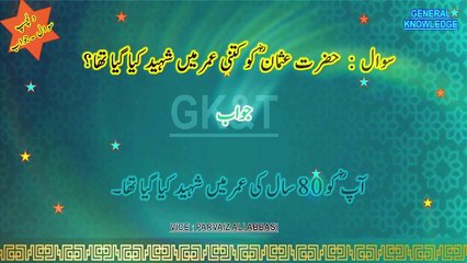 Islamic Wisdom in the Digital Era: Silicon Sapiens 2023-2024