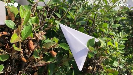 Durov, aeroplanini di carta davanti all'ambasciata francese a Mosca