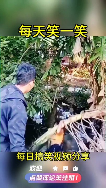 Best funny video on Dailymotion #dailymotion