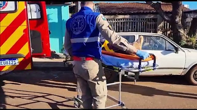 Duas pessoas ficam feridas em ataque de Pitbull no Interlagos