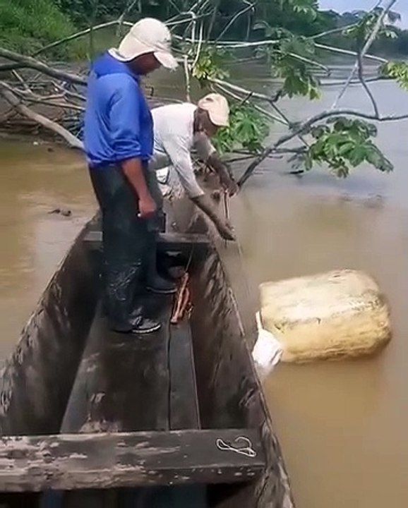 Bigg fish