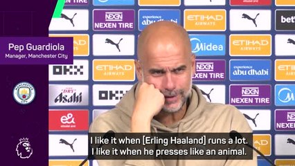 Guardiola loves when Haaland 'presses like an animal'