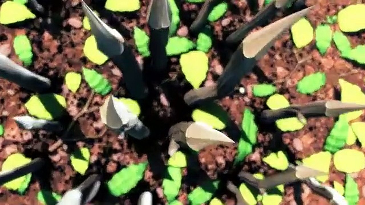 Panda2