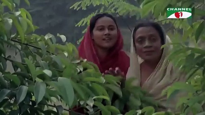 Amar Jomunar Jol Dekhte Kalo  Ghetu Putro Komola movie song 2025