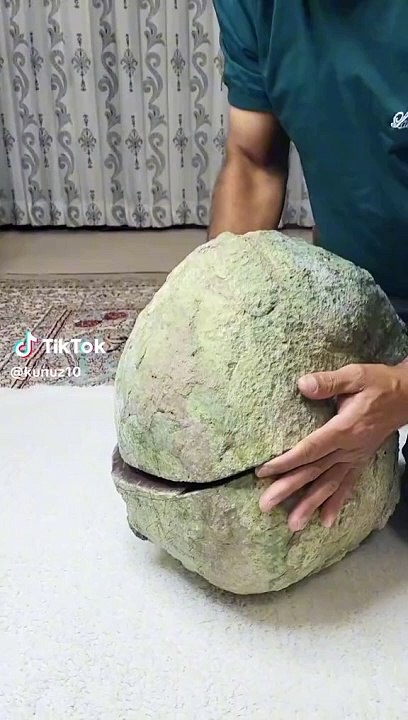 Mix videos 2024