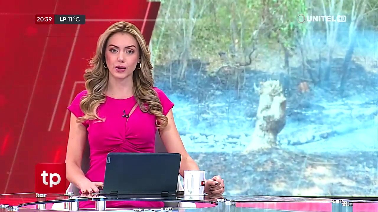 Bolivia y Brasil se reunirán este lunes para abordar la lucha conjunta contra los incendios forestales