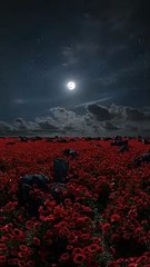Red flower buds blooming in the moonlight.