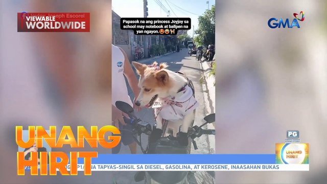 Hirit Good Vibes— Paw-shionistang aso | Unang Hirit
